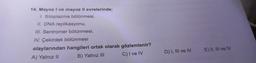 14. Mayoz I ve mayoz II evrelerinde;
I. Sitoplazma bölünmesi,
II. DNA replikasyonu,
III. Sentromer bölünmesi,
IV. Çekirdek bölünmesi
olaylarından hangileri ortak olarak gözlemlenir?
A) Yalnız II
B) Yalnız III
C) I ve IV
D) I, III ve IV E) II, III ve IV