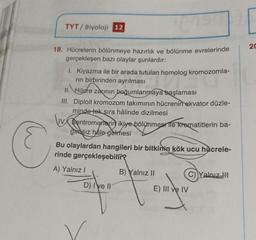 O
TYT/ Biyoloji 12
18. Hücrelerin bölünmeye hazırlık ve bölünme evrelerinde
gerçekleşen bazı olaylar şunlardır:
1. Kiyazma ile bir arada tutulan homolog kromozomla-
rin birbirinden ayrılması
II. Hücre zarının boğumlanmaya başlaması
III. Diploit kromozom takımının hücrenin ekvator düzle-
minde tek sıra hâlinde dizilmesi
IV Sentromerterin ikiye bölünmesi le krematitlerin ba-
grasiz hale gelmesi
Bu olaylardan hangileri bir bitkinin kök ucu hücrele-
rinde gerçekleşebilir?
A) Yalnız I
D) Ive II
B) Yalnız II
E) III ve IV
C) Yalnız
20