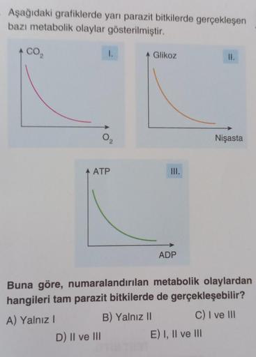 Aşağıdaki grafiklerde yarı parazit bitkilerde gerçekleşen
bazı metabolik olaylar gösterilmiştir.
CO₂
A) Yalnız I
1.
02
ATP
D) II ve III
Glikoz
III.
ADP
Buna göre, numaralandırılan metabolik olaylardan
hangileri tam parazit bitkilerde de gerçekleşebilir?
B)