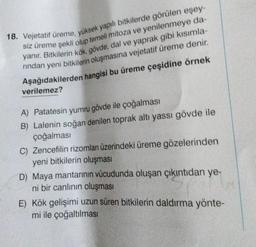 18. Vejetatif üreme, yüksek yapılı bitkilerde görülen eşey-
siz üreme şekli olup temeli mitoza ve yenilenmeye da-
. Bitkilerin kök, gövde, dal ve yaprak gibi kısımla-
rından yeni bitkilerin oluşmasına vejetatif üreme denir.
yanır.
Aşağıdakilerden hangisi bu üreme çeşidine örnek
verilemez?
A) Patatesin yumru gövde ile çoğalması
B) Lalenin soğan denilen toprak altı yassı gövde ile
çoğalması
C) Zencefilin rizomları üzerindeki üreme gözelerinden
yeni bitkilerin oluşması
D) Maya mantarının vücudunda oluşan çıkıntıdan ye-
ni bir canlının oluşması
E) Kök gelişimi uzun süren bitkilerin daldırma yönte-
mi ile çoğaltılması