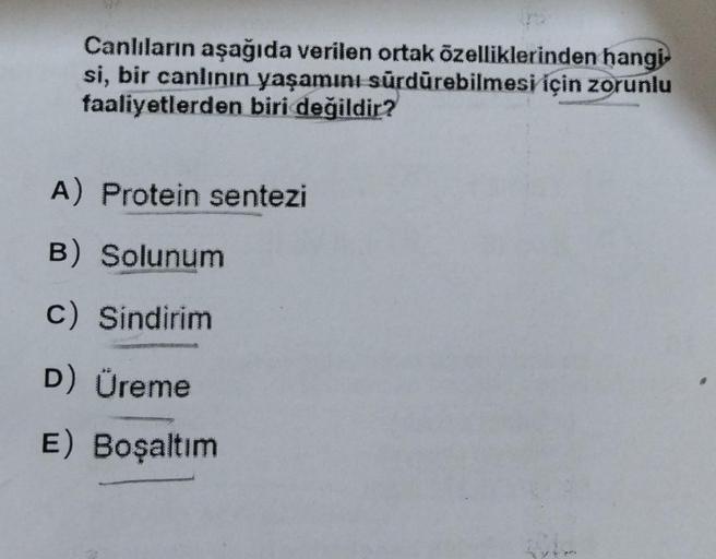 Canlıların aşağıda verilen ortak özelliklerinden hangi-
si, bir canlının yaşamını sürdürebilmesi için zorunlu
faaliyetlerden biri değildir?
A) Protein sentezi
B) Solunum
C) Sindirim
D) Üreme
E) Boşaltım