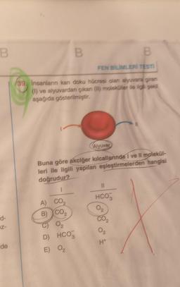 B
d-
ez-
de
B
B
FEN BİLİMLERİ TESTI
39. İnsanların kan doku hücresi dan alyuvara giren
(1) ve alyuvardan çıkan (1) moleküller ile igh sek
aşağıda gösterilmiştir.
A)
CO
B) CO₂
0₂
D) HCO
E) 0₂
Alyures
Buna göre akciğer kılcallanında I ve Il molekül-
leri ile ilgili yapılan eşleştirmelerden hangisi
doğrudur?
11
HCO3
02
CO₂
02
H+