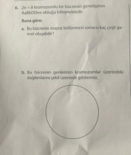 6. 2n = 8 kromozomlu bir hücrenin genotipinin
AaBbDDee olduğu bilinmektedir.
Buna göre;
a. Bu hücrenin mayoz bölünmesi sonucu kaç çeşit ga-
met oluşabilir?
b. Bu hücrenin genlerinin kromozomlar üzerindeki
dağılımlarını şekil üzerinde gösteriniz.