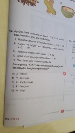 16. Aşağıda farklı sınıflarda yer alan X-Y-Z-T-W canlıları
bazı özelliklere göre gruplandırılmıştır.
1. Boşaltım organları böbrek olan canlılar; X-Y-Z-T-W
II. Küçük ve büyük kan dolaşımına sahip canlılar,
Y-Z-T-W
III. Kalpleri 4 odacıklı olan canlılar; Z-T-W
IV. Sabit vücut sıcaklığına sahip olanlar; T-W
V. Yavrularını sütle besleyen canlılar; W
Buna göre X-Y-Z-T-W canlılarına verilen aşağıdaki
örneklerden hangisi doğru olamaz?
A) X-İstavrit
B) Y-Kurbağa
C) Z-Kaplumbağa
D) T-Penguen
E) W-Kirpi
YKS-TYT 04
17. Asa
It çe
söy
(Öze
Muta
C) C