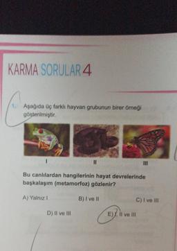 KARMA SORULAR 4
1. Aşağıda üç farklı hayvan grubunun birer örneği
gösterilmiştir.
11
Bu canlılardan hangilerinin hayat devrelerinde
başkalaşım (metamorfoz) gözlenir?
A) Yalnız I
D) II ve III
B) I ve II
ET.
C) I ve III
E), II ve III