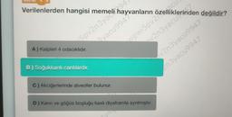 poru No
Verilenlerden hangisi
Semeli hayvanların
5pv2n3yal94
yacu9947
A) Kalpleri 4 odacıklıdır.
B) Soğukkanlı canlılardır.
C) Akciğerlerinde alveoller bulunur.
wpwi5pv2cu
47
v2n3yacu Sind
D) Karın ve göğüs boşluğu kaslı diyaframla ayrılmıştır.
y4
v2n3yacu9947
2n3yacu9947