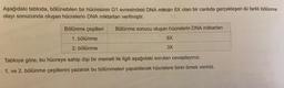 Aşağıdaki tabloda, bölünebilen bir hücresinin G1 evresindeki DNA miktarı 6X olan bir canlıda gerçekleşen iki farklı bölünme
olayı sonucunda oluşan hücrelerin DNA miktarları verilmiştir.
Bölünme çeşitleri Bölünme sonucu oluşan hücrelerin DNA miktarları
1. bölünme
2. bölünme
6X
3X
Tabloya göre, bu hücreye sahip dişi bir memeli ile ilgili aşağıdaki soruları cevaplayınız.
1. ve 2. bölünme çeşitlerini yazarak bu bölünmeleri yapabilecek hücrelere birer örnek veriniz.