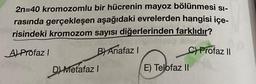 2n=40 kromozomlu
bir hücrenin mayoz bölünmesi sı-
rasında gerçekleşen aşağıdaki evrelerden hangisi içe-
risindeki kromozom sayısı diğerlerinden farklıdır?
A) Profaz I
B) Anafaz I
D) Metafaz I
C) Profaz II
E) Telofaz II