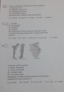 24)
25)
Arke ve bakteriler aleminde yer alan canlılarda;
I. Prokaryot olma
II. Endospor oluşturma
III. Kemosentez yapma
IV. Fotosentez yapma
özelliklerinden hangileri ortak gözlenebilir?
A) I, II ve III.
B) I, III ve IV C.) Hepsi D) I ve IV
1. Cinsleri
II. FamIIyalanı
III. Şubeleri
IV. Sınıfları
Aynı takımda yer alan canlıların yukarıda verilen
sınıflandırma basamaklarından hangileri kesinlikle
aynıdır?
A) I ve II B) I ve II. C) III ve IV D) II ve III.
At
insan
Yukarıda verilen yapılar;
I. Köken benzerliği
II. Görev benzerliği
III. Analog organ
IV. Homolog organ
E) Sadece I
Yarasa
E) Hepsi
filogenetik sınıflandırmada kullanılan kriterlerden
hangilerine örnek oluşturur?
A) II ve III. B) I ve IV. C) I, II ve III. D) Ivell. E) Hepsi