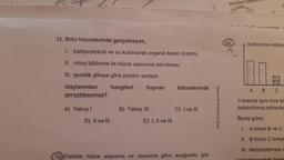 A Glik
21. Bitki hücrelerinde gerçekleşen,
I. karbondioksit ve su kullanarak organik besin üretimi,
II. mitoz bölünme ile hücre sayısının artırılması,
III. genetik şifreye göre protein sentezi
olaylarından
hangileri hayvan
gerçekleşemez?
A) Yalnız I
D) II ve III
B) Yalnız III
E) I, II ve III
hücrelerinde
C) I ve III
22 Canlılar hücre yapısına ve sayısına göre aşağıdaki gibi
yaloji ile Çalışmak Ayrıcalıktır
Verilen tepki
24.
ili daki
anobolizma miktar
313
A B
Yukarıda aynı türe aill
katabolizma miktarlar
Buna göre,
1. A bireyi B ve C
II. B bireyi C bireyi
III. Metabolizması e
C