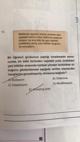 19.
Bitkilerde eşeysiz üreme yöntemi olan
vejetatif üreme mitoz bölünme esasına
dayanır ve ana bitki ile aynı kalıtsal
özelliklere sahip yeni bitkiler oluşumu
ile sonuçlanır.
Bir öğrenci grubunun yaptığı incelemeler sonu-
cunda, bir bitki türünden vejetatif yolla ürettikleri
yeni bitkiler arasında kalıtsal yönden farklılıklar ol-
duğunu gözlemlemesi aşağıda verilen olaylardan
hangisinin gerçekleşmiş olmasına bağlıdır?
A) Mutasyon
C) Adaptasyon
E) Krossing-over
B) Döllenme
D) Modifikasyon
CAP