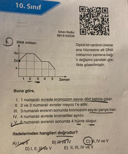 10. Sınıf
GOATE
DNA miktarı
4x
2x
X
2
LV.
3
5
A) Lvell
Sınav Kodu:
RB19102036
Zaman
Buna göre,
I. 1 numaralı evrede kromozom sayısı dört katına çıkar.
II. 2 ve 3 numaralı evreler mayoz l'e aittir.
III. 3 numaralı evrenin sonunda kromozom sayısı yarıya iner