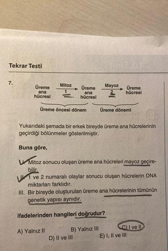 Tekrar Testi
7.
Üreme
ana
hücresi
Mitoz
Üreme öncesi dönem
Buna göre,
Üreme
ana
hücresi
A) Yalnız II
Yukarıdaki şemada bir erkek bireyde üreme ana hücrelerinin
geçirdiği bölünmeler gösterilmiştir.
Mayoz
Üreme
hücresi
UMitoz sonucu oluşan üreme ana hücreler