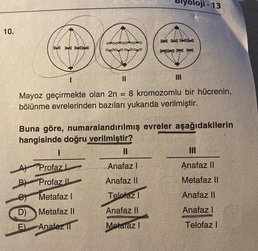 10.
W
A
B)
CY
D)
DE
Mayoz geçirmekte olan 2n
bölünme evrelerinden bazıları yukarıda verilmiştir.
Sve se Seas
Buna göre, numaralandırılmış evreler aşağıdakilerin
hangisinde doğru verilmiştir?
I
Profaz L
Profaz I
Metafaz I
Metafaz II
Anafaz
poji-13
||
8 krom