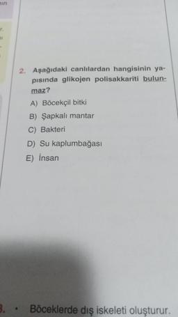 hin
r.
3.
2. Aşağıdaki canlılardan hangisinin ya-
pısında glikojen polisakkariti bulun-
maz?
A) Böcekçil bitki
B) Şapkalı mantar
C) Bakteri
D) Su kaplumbağası
E) İnsan
Böceklerde dış iskeleti oluşturur.