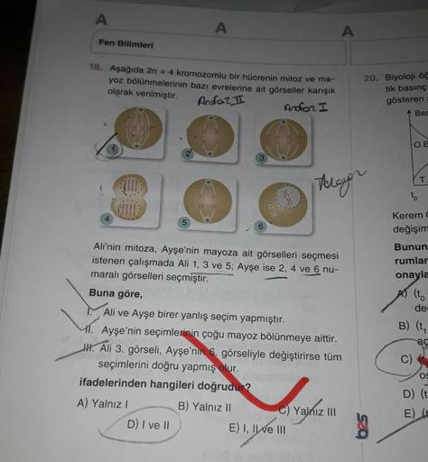 A
Fen Bilimleri
18. Aşağıda 2n = 4 kromozomlu bir hücrenin mitoz ve ma-
yoz bölünmelerinin bazı evrelerine ait görseller karışık
olarak verilmiştir.
Anfaz II
Arofor I
4
A
5
D) I ve II
3
Ali'nin mitoza, Ayşe'nin mayoza ait görselleri seçmesi
istenen çalışma