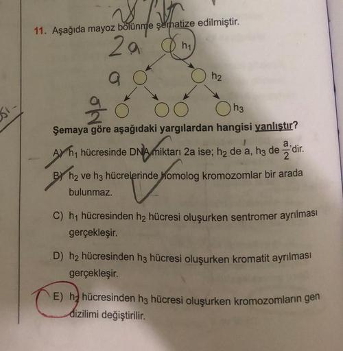 951-
nd
aze
11. Aşağıda mayoz bölünme şematize edilmiştir.
h₁
Za n
a
O
O
h2
99
OO
Oh3
Şemaya göre aşağıdaki yargılardan hangisi yanlıştır?
}
Ah, hücresinde DNA miktarı 2a ise; h₂ de a, h3 de 'dir.
B h₂ ve h3 hücrelerinde homolog kromozomlar bir arada
coprn