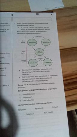 deniz yıldızı
dominant bir tür
oslenir.
racous'un gel-
tedeki tür
Zaman (Yillar)
narak,
35
abetten başarı
Cedeki tür
= türü
münitede
C) Yalnız III
3
17. Bakteri kolonileri ve penisilin antibiyotiği kullanılarak
aşağıdaki deneyler yapılıyor.
.
Sonuç: A bakterileri üremeye devam ederken B
bakterilerinin çoğalamadığı gözleniyor
.
lik aşamada bakteriler petri kaplarına ayrı ayrı
ekiliyor ve üzerine ponisilin antibiyotiği ekleniyor.
.
lik
aşama
Ikinci
aşama
Üçüncü
aşama
A bakterileri
Penisilin.
A ve B
bakterileri
A bakterileri
Penisilin
B bakterileri
D) Yalnız II
B bakterileri
Ikinci aşamada her iki petri kabındaki A ve B
bakterileri aynı petri kabına alınıp bir süre
bekleniyor.
Üçüncü aşamada ikinci aşamadaki A ve B bakterileri
ayrı petri kaplarına tekrar ekiliyor ve üzerine
yeniden penisilin antibiyotiği ekleniyor.
Sonuç: Her iki petri kabında da bakterilerin çoğaldığı
gözleniyor.
Sonuçlardaki bu değişime bakterilerde gerçekleşen;
hücre bölünmesi,
1.
II. konjugasyon,
III. DNA eşlenmesi
olaylarından hangileri neden olmuş olabilir?
A) Yalnız 1
B) Yalnız III
+ith th
C) I ve Il
E) I, II ve III