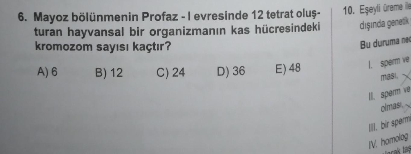 6. Mayoz bölünmenin Profaz - I evresinde 12 tetrat oluş-
turan hayvansal bir organizmanın kas hücresindeki
kromozom sayısı kaçtır?
A) 6
B) 12
C) 24
D) 36
E) 48
10. Eşeyli üreme ile
dışında genetik
Bu duruma nec
1. sperm ve
masi,
II. sperm ve
olması,
O
III.