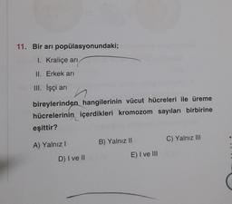 11. Bir arı popülasyonundaki;
I. Kraliçe arı
II. Erkek arı
III. İşçi arı
bireylerinden hangilerinin vücut hücreleri ile üreme
hücrelerinin içerdikleri kromozom sayıları birbirine
eşittir?
A) Yalnız I
D) I ve II
B) Yalnız II
E) I ve III
C) Yalnız III
6