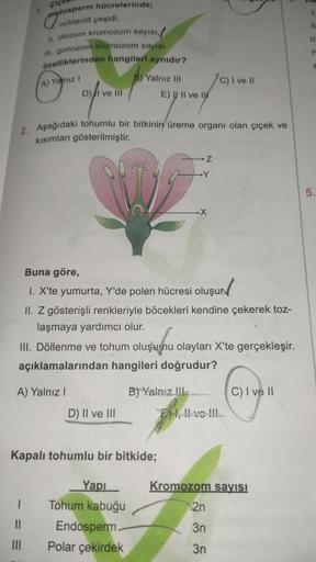 çiç
endos
osperm hücrelerinde;
nükleotit çeşidi,
II. otozom kromozom sayısı
III. gonozom kromozom sayısı
özelliklerinden hangileri aynıdır?
A) Yalnız I
D) I ve III
I
11
|||
B) Yalnız III
2. Aşağıdaki tohumlu bir bitkinin üreme organı olan çiçek ve
kısımlar