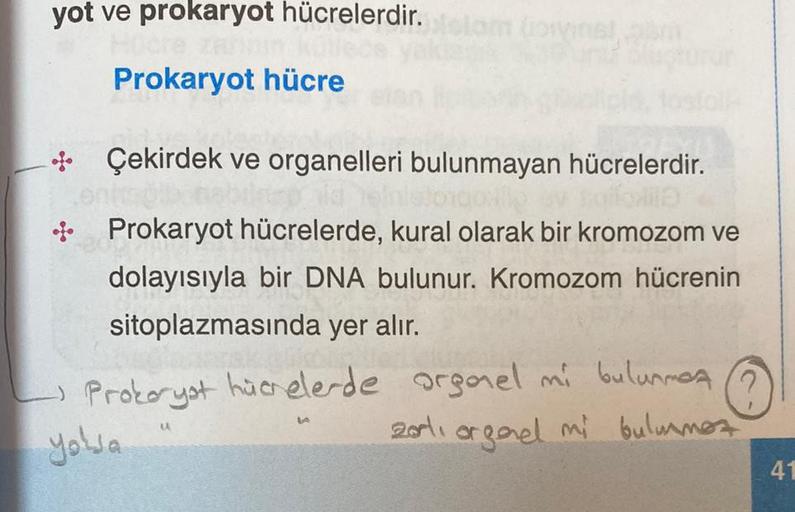 yot ve prokaryot hücrelerdir. Prokaryot hücre + Çek… Biyoloji yot ve prokaryot hücrelerdir. Prokaryot hücre + Çek… Biyoloji