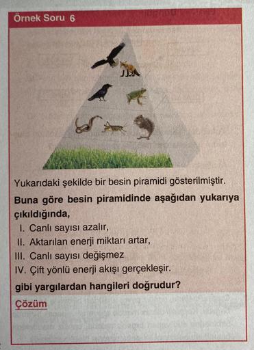 Örnek Soru 6
A
JEA
Yukarıdaki şekilde bir besin piramidi gösterilmiştir.
Buna göre besin piramidinde aşağıdan yukarıya
çıkıldığında,
1. Canlı sayısı azalır,
II. Aktarılan enerji miktarı artar,
III. Canlı sayısı değişmez
IV. Çift yönlü enerji akışı gerçekle