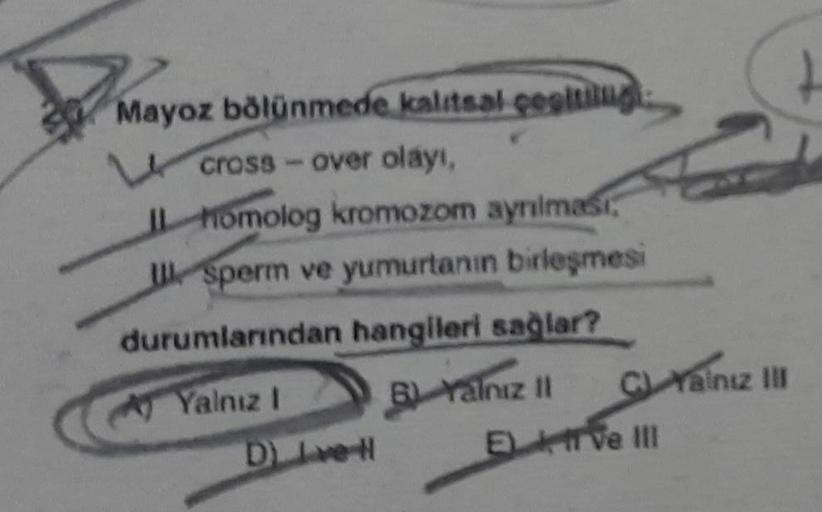 M
Mayoz bölünmede kalıtsal çegitling
cross-over olayı,
I homolog kromozom ayrılması
U Sperm ve yumurtanın birleşmesi
durumlarından hangileri sağlar?
B) Yalnız II
Yalnız I
D) Love H
C) Yalnız III
Et ve III