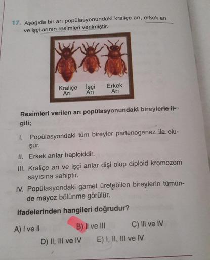 17. Aşağıda bir arı popülasyonundaki kraliçe arı, erkek arı
ve işçi arının resimleri verilmiştir.
Kraliçe İşçi
Arı
Ari
Resimleri verilen arı popülasyonundaki bireylerle it-
gili;
1. Popülasyondaki tüm bireyler partenogenez ile olu-
şur.
II. Erkek arılar ha