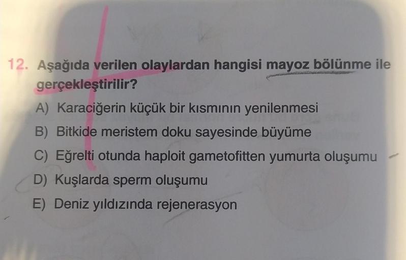 12. Aşağıda verilen olaylardan hangisi mayoz bölünme ile
gerçekleştirilir?
A) Karaciğerin küçük bir kısmının yenilenmesi
B) Bitkide meristem doku sayesinde büyüme
C) Eğrelti otunda haploit gametofitten yumurta oluşumu
D) Kuşlarda sperm oluşumu
E) Deniz yıl