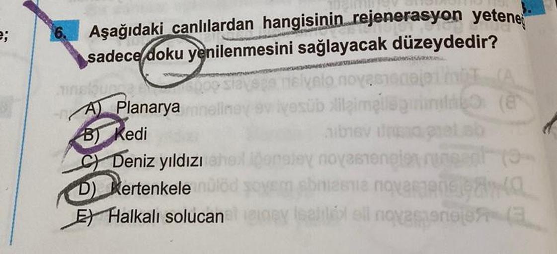 e;
Aşağıdaki canlılardan hangisinin rejenerasyon yetene
sadece doku yenilenmesini sağlayacak düzeydedir?
minelque
novas
yesüb lilaimelle
milo (@
A) Planarya
B) Kedi
C) Deniz yıldızı
D) Kertenkele
E) Halkalı solucana gney leabló ell novenoje (3
iblev una gu