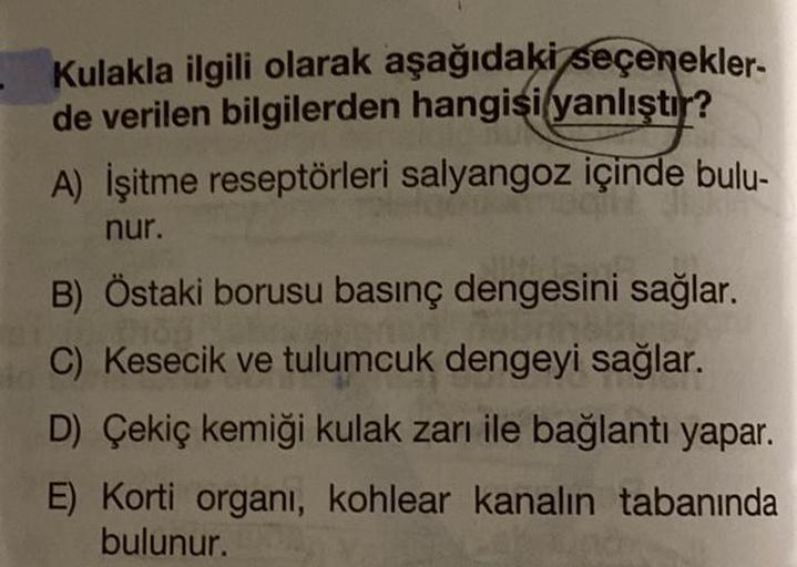 Kulakla ilgili olarak aşağıdaki seçenekler-
de verilen bilgilerden hangisi yanlıştır?
A) İşitme reseptörleri salyangoz içinde bulu-
nur.
B) Östaki borusu basınç dengesini sağlar.
C) Kesecik ve tulumcuk dengeyi sağlar.
D) Çekiç kemiği kulak zarı ile bağlant