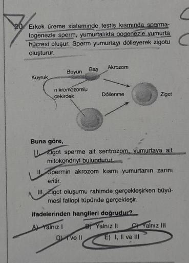 20 Erkek üreme sisteminde testis kısmında sperma-
togenezle sperm, yumurtalıkta oogenezle yumurta
hücresi oluşur. Sperm yumurtayı dölleyerek zigotu
oluşturur.
Kuyruk
Boyun
n kromozomlu
çekirdek
Baş
Dve ll
Akrozom
Döllenme
Buna göre,
Ligot sperme ait sentro