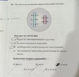 ve ll
21. Bir canlının bazı karakterlerle ilgili genotipi aşağıda verilmiştir.
A
A) Yalnız II
a
E
D) I, II ve W
Cob
D
#:
B
Buna göre bu canlı ile ilgili;
Diploit bir canlı olup kromozom sayısı 4'tür.
En fazla 8 çeşit gamet oluşturabilir.
B
aECDB gametini ancak krossing over olursa üretebilir.
IV. Tüm karakterleri bakımından çekinik fenotipli bir yavrusu
olamaz.
ifadelerinden hangileri söylenebilir?
B) Ive IV
E) II, III ve IV
1, II ve III