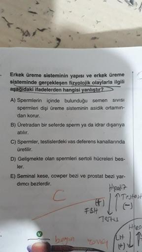 Erkek üreme sisteminin yapısı ve erkek üreme
sisteminde gerçekleşen fizyolojik olaylarla ilgili
aşağıdaki ifadelerden hangisi yanlıştır?
A) Spermlerin içinde bulunduğu semen SIVISI
spermleri dişi üreme sisteminin asidik ortamın-
dan korur.
B) Üretradan bir