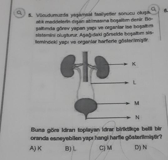 a
5. Vücudumuzda yaşamsal faaliyetler sonucu oluşa
atık maddelerin dışarı atılmasına boşaltım denir. Bo-
şaltımda görev yapan yapı ve organlar ise boşaltım
sistemini oluşturur. Aşağıdaki görselde boşaltım sis-
temindeki yapı ve organlar harflerle gösterilm