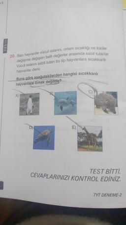 365
20. Bazı hayvanlar vücut ısılarını, ortam sıcaklığı ne kadar
değişirse değişsin belli değerler arasında sabit tutarlar.
Vücut ısılarını sabit tutan bu tip hayvanlara sıcakkanlı
hayvanlar denir.
Buna göre aşağıdakilerden hangisi sıcakkanlı
hayvanlara örnek değildir?
A)
E)
C)
TEST BİTTİ.
CEVAPLARINIZI KONTROL EDİNİZ.
TYT DENEME-2