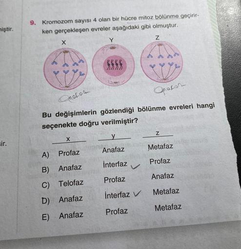 miştir.
sir.
9. Kromozom sayısı 4 olan bir hücre mitoz bölünme geçirir-
ken gerçekleşen evreler aşağıdaki gibi olmuştur.
X
ABG
ed
Cmofot
Qracon
Bu değişimlerin gözlendiği bölünme evreleri hangi
seçenekte doğru verilmiştir?
X
A) Profaz
B) Anafaz
C) Telofaz
