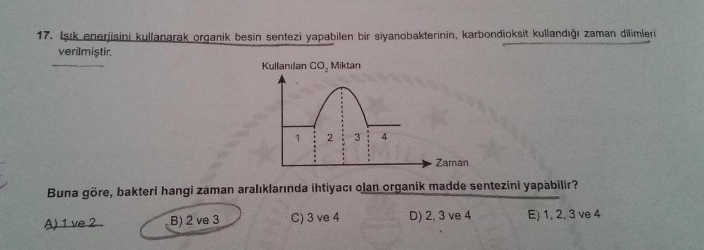 17. Işık enerjisini kullanarak organik besin sentezi yapabilen bir siyanobakterinin, karbondioksit kullandığı zaman dilimleri
verilmiştir.
Kullanılan CO₂ Miktarı
1
2
3
Zaman
Buna göre, bakteri hangi zaman aralıklarında ihtiyacı olan organik madde sentezini