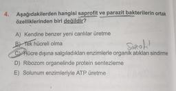 4. Aşağıdakilerden
hangisi saprofit ve parazit bakterilerin ortak
özelliklerinden biri değildir?
A) Kendine benzer yeni canlılar üretme
B Tek hücreli olma
Soprofil
Hücre dışına salgıladıkları enzimlerle organik atıkları sindirme
D) Ribozom organelinde protein sentezleme
E) Solunum enzimleriyle ATP üretme