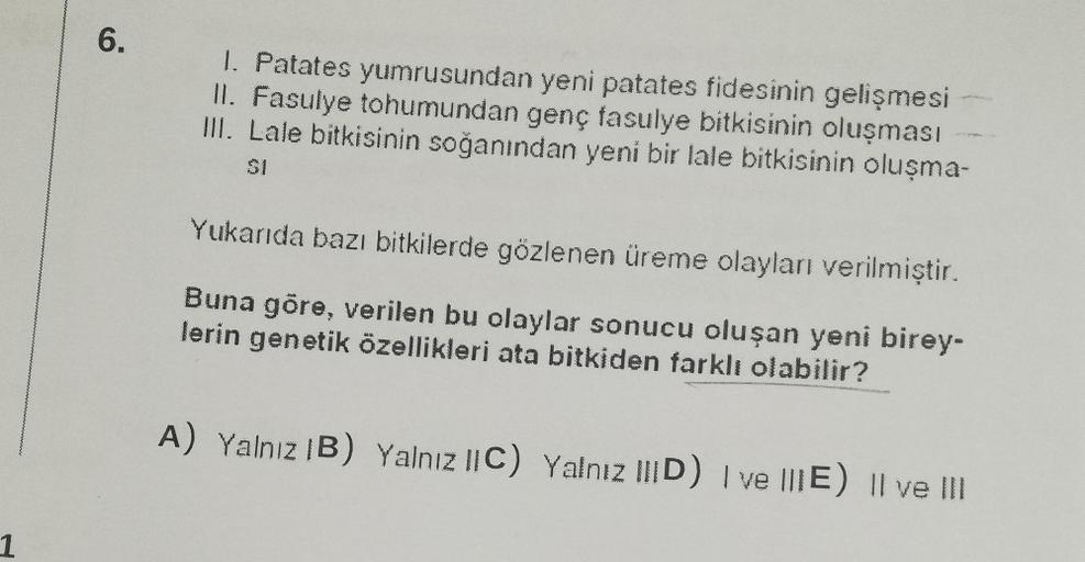 1
6.
1. Patates yumrusundan yeni patates fidesinin gelişmesi
II. Fasulye tohumundan genç fasulye bitkisinin oluşması
III. Lale bitkisinin soğanından yeni bir lale bitkisinin oluşma-
SI
Yukarıda bazı bitkilerde gözlenen üreme olayları verilmiştir.
Buna göre