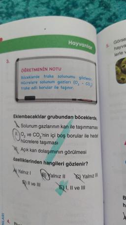 NLARI
ÖĞRETMENİN NOTU
Böceklerde trake solunumu gözlenir.
Hücrelere solunum gazları (0₂-
CO₂)
trake adlı borular ile taşınır.
Eklembacaklılar grubundan böceklerde,
Solunum gazlarının kan ile taşınmaması
ve CO₂'nin içi boş borular ile hedef
hücrelere taşıması
Açık kan dolaşımının görülmesi
özelliklerinden hangileri gözlenir?
A Yalnız I
Hayvanlar
B) Yalnız II
Q) II ve III
Biel
Yalnız III
E) I, II ve III
5.
Görse
hayva
lerle w
B
h
1