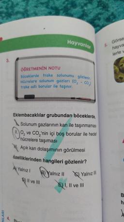 NLARI
ÖĞRETMENİN NOTU
Böceklerde trake solunumu gözlenir.
Hücrelere solunum gazları (0₂-
CO₂)
trake adlı borular ile taşınır.
Eklembacaklılar grubundan böceklerde,
Solunum gazlarının kan ile taşınmaması
ve CO₂'nin içi boş borular ile hedef
hücrelere taşıması
Açık kan dolaşımının görülmesi
özelliklerinden hangileri gözlenir?
A Yalnız I
Hayvanlar
B) Yalnız II
Q) II ve III
Biel
Yalnız III
E) I, II ve III
5.
Görse
hayva
lerle w
B
h
1