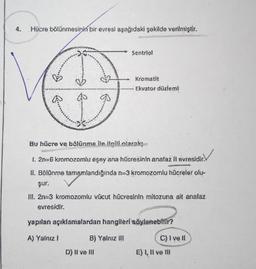 4.
Hücre bölünmesinin bir evresi aşağıdaki şekilde verilmiştir.
B
A) Yalnız!
Sentriol
Bu hücre ve bölünme ile ilgili olarak
1. 2n=6 kromozomlu eşey ana hücresinin anafaz Il evresidir.
II. Bölünme tamamlandığında n-3 kromozomlu hücreler olu
şur:
III. 2n 3 kromozomlu vücut hücresinin mitozuna ait analaz
evresidir.
D) Il ve Ill
Kromatit
Ekvator düzlemi
yapılan açıklamalardan hangileri söylenebilir?
B) Yalnız III
C) I ve II
E) 1, Il ve Ill