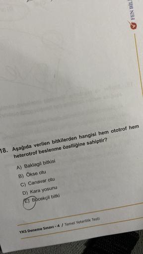 18. Aşağıda verilen bitkilerden hangisi hem ototrof hem
heterotrof beslenme özelliğine sahiptir?
A) Baklagil bitkisi
B) Ökse otu
C) Canavar otu
D) Kara yosunu
(E) Böcekçil bitki
FEN BİLİ
YKS Deneme Sınavı - 4 / Temel Yeterlilik Testi