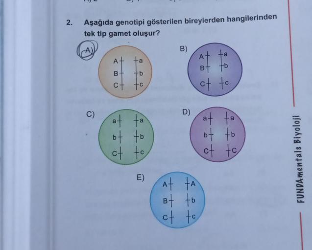 2.
Aşağıda genotipi gösterilen bireylerden hangilerinden
tek tip gamet oluşur?
(A)
C)
A+
B
-b
ct tc
+
at ta
of to
ct to
E)
B)
D)
At ta
Bt tb
ct to
+++
÷
tb
of to
at fa
of to
ct to
FUNDAmentals Biyoloji