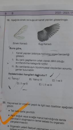 00
Z
B
B
19. Aşağıda sinek ve kuşa ait kanat yapıları gösterilmiştir.
Sinek Kanadı
Kuş Kanadı
Buna göre,
1. Kanat yapıları birbiriyle homolog organ benzerliği
gösterir.
II. Bu canlı çeşitlerinin ortak olarak dâhil olduğu
sınıflandırma kategorisi türdür.
2022 2023/T
III. Bu canlılarda aynı biyokimyasal olaylardan sorumlu
genler bulunabilir.
ifadelerinden hangileri doğrudur?
A) Yalnız
B) Yalnız III
D) Il ve Ill
C) I ve II
E) I, II ve III
20. Hayvansal bir organel çeşidi ile ilgili bazı özellikler aşağıdaki
gibidir.
• Tek katlı zarla çevrilidir.
• Aşırı soğuk veya sıcağa maruz kalındığında deride
yanıkların oluşmasının temel sebebi bu organelin
parçalanmasıdır.
• Organelin yeterli faaliyet yapmaması no
biriken moddal