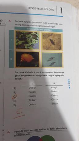 K
4.
5.
11.
1
Bir balık türünün yaşamının farklı evrelerinde bes-
lendiği canlı çeşitleri aşağıda gösterilmiştir.
Beslendiği canlı çeşitleri
Bu balık türünün 1. ve II. evrelerdeki beslenme
şekli seçeneklerin hangisinde doğru eşleştiril-
miştir?
A)
B)
C)
EKOSISTEM EKOLOJİSİ
D)
E)
Otobur
Karışık
Karışık
Etobur
Otobur
11
Karışık
Otobur
Etobur
Otobur
Etobur
Aşağıda mavi ve yeşil renkler iki farklı ekosistemi
göstermektedir.
☐ 6. ÜNİTE