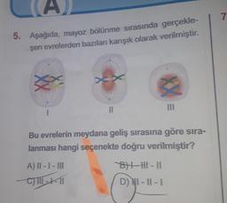 5. Aşağıda, mayoz bölünme sırasında gerçekle-
şen evrelerden bazıları karışık olarak verilmiştir.
**
11
A) II - I - III
C)III-X-11
Bu evrelerin meydana geliş sırasına göre sıra-
lanması hangi seçenekte doğru verilmiştir?
III
B|-|||-||
D) NI-II-I
7