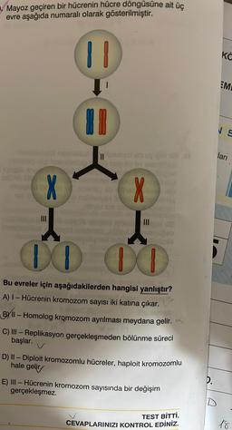 Mayoz geçiren bir hücrenin hücre döngüsüne ait üç
evre aşağıda numaralı olarak
gösterilmiştir.
11
9-04
X
1
00
X
I
00
Bu evreler için aşağıdakilerden hangisi yanlıştır?
A) I - Hücrenin kromozom sayısı iki katına çıkar. ✓
BY II - Homolog kromozom ayrılması meydana gelir.
P
C) III - Replikasyon gerçekleşmeden bölünme süreci
başlar.
170
D) II - Diploit kromozomlu hücreler, haploit kromozomlu
hale gelir/
E) III - Hücrenin kromozom sayısında bir değişim
gerçekleşmez.
TEST BİTTİ.
CEVAPLARINIZI KONTROL EDİNİZ.
D.
KÖ
EMI
ları
18